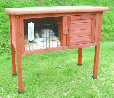An outdoor guinea pig hutch