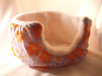 A guinea pig cozy