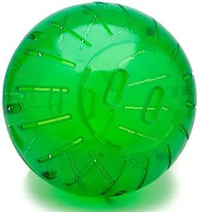 A guinea pig exercise ball