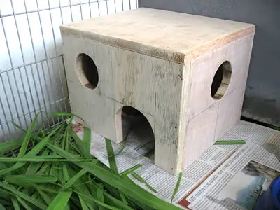 A homemade wooden house