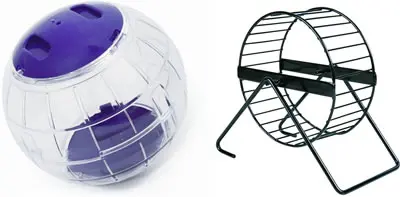 An exercise ball and running wheel