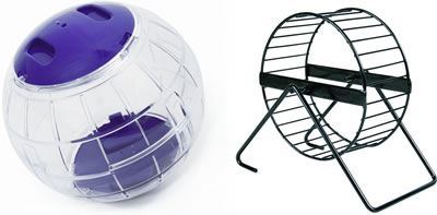 guinea pig running wheel