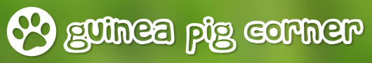Guinea Pig Corner Home Page Guinea Pig Corner