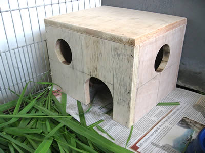 guinea pig hide house